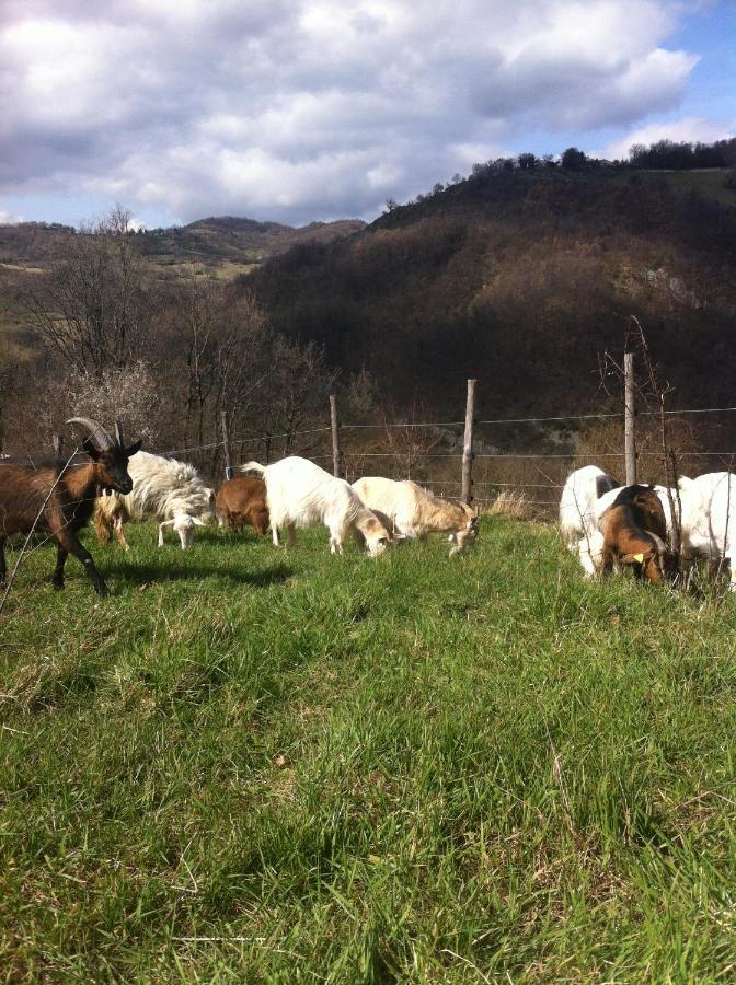Agriturismo Il Covo Del Solengo Valtopina Buitenkant foto