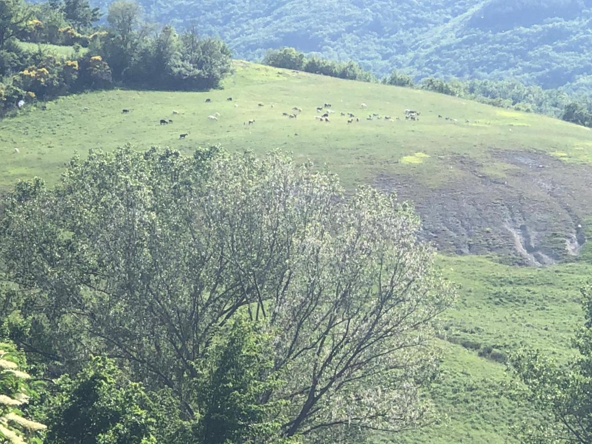 Agriturismo Il Covo Del Solengo Valtopina Buitenkant foto