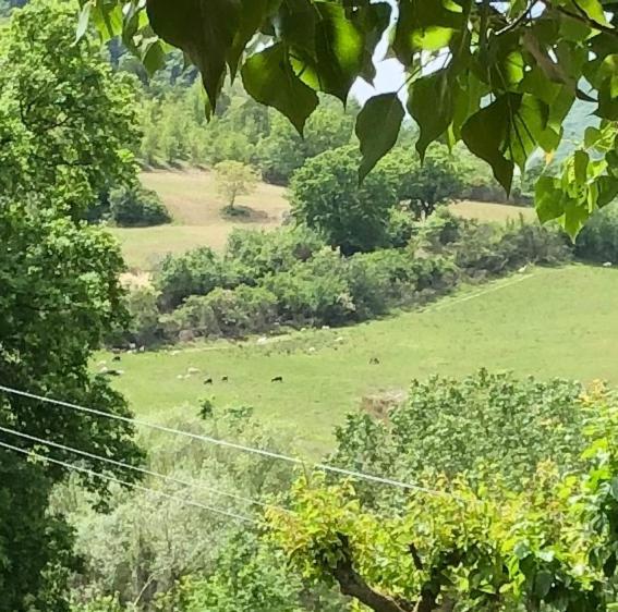 Agriturismo Il Covo Del Solengo Valtopina Buitenkant foto