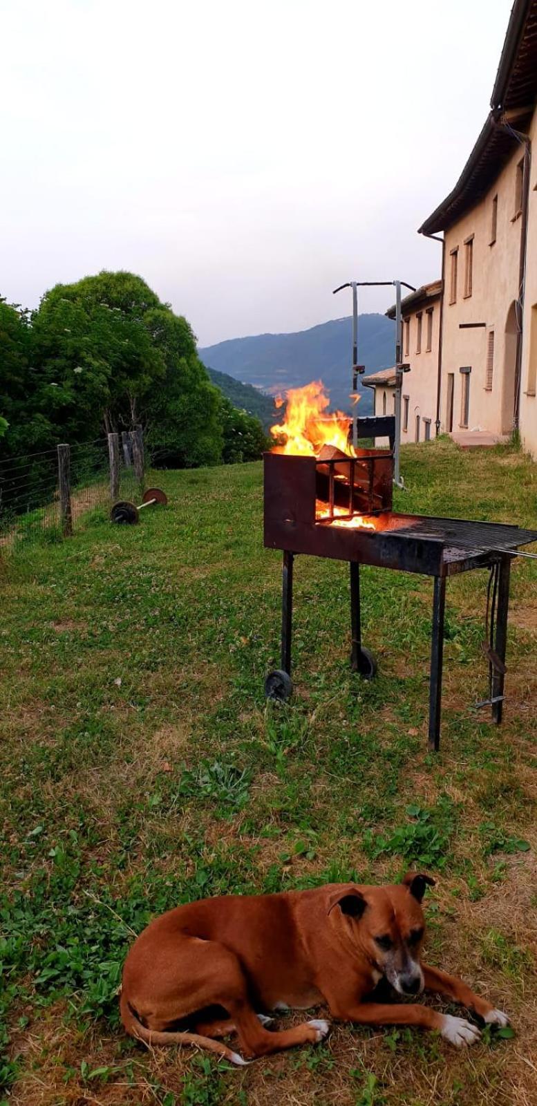 Agriturismo Il Covo Del Solengo Valtopina Buitenkant foto